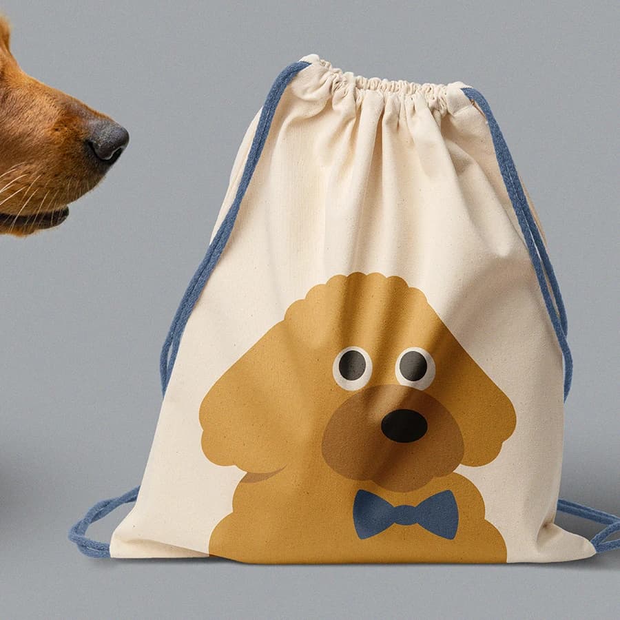 Fletch & Play Bag